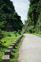 Fototapeta na wymiar Imagen de la jungla y una carretera en el interior de la isla de Cat Ba, de Vietnam, durante el verano