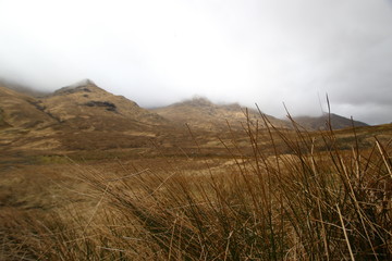 Scottish Highlands in spring
