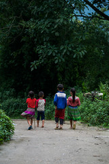 Un grupo de niños pequeños paseando por los arrozales de Sapa en Vietnam