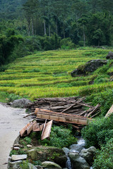 Despojos y basura acumulada delante de unos arrozales en Sapa, Vietnam