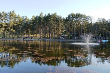 one fountain on the lake