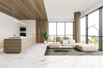 White kitchen and living room interior
