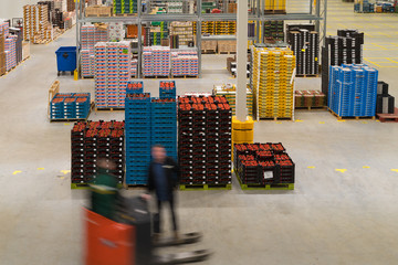 fruit warehouse interior