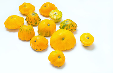 Twelve yellow squash vegetable. Group  pattypan squashes, on white table background.