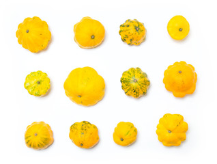 Top view twelve yellow squash vegetable. Group  pattypan squashes, on white table background.