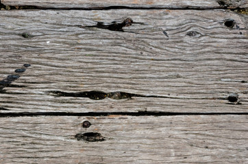 Obraz premium The old bark tree is for background , texture , copy text