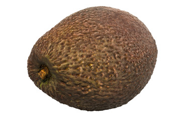 Avocado close-up 3d rendering with realistic texture
