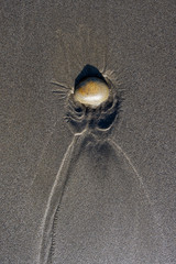 Rock in the Sand with Water Patterns