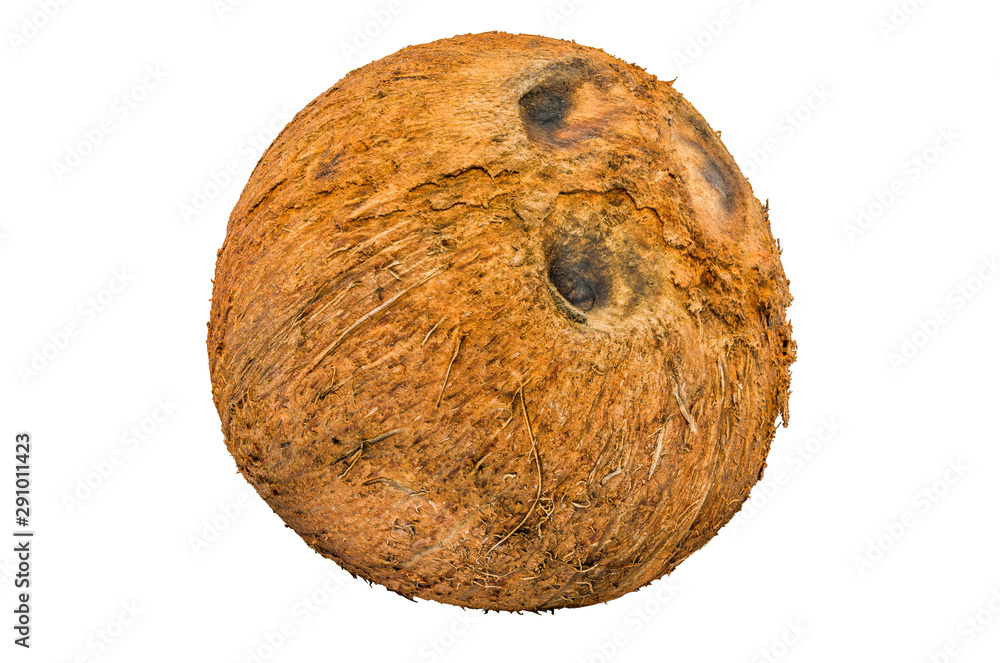 Poster coconut fruit close-up 3d rendering with realistic texture