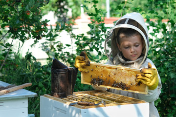 Cheerful boy beekeeper in protective suit near beehive. Honeycomb with honey. Organic food concept....