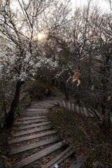 Trip to Meteora Monasteries in Greece