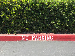 Full frame sectional view of a red street curb clearly marked in white NO PARKING with an evergreen...