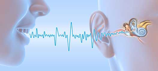 People talking, soundwave and ear anatomy, medical 3D illustration - obrazy, fototapety, plakaty