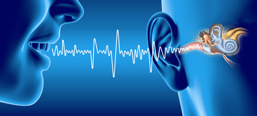 People talking, soundwave and ear anatomy, medical 3D illustration