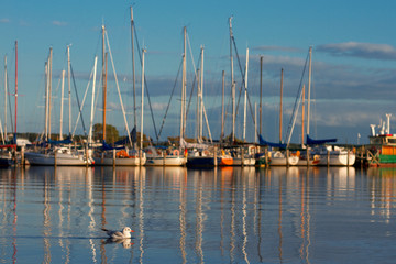 Fototapeta premium Ostseebad Rerik Salzhaff Boote
