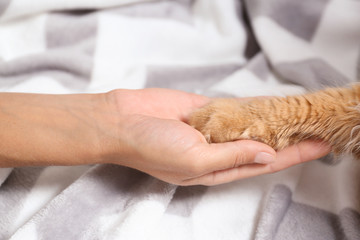 Woman and cat holding hands together on warm blanket, closeup view
