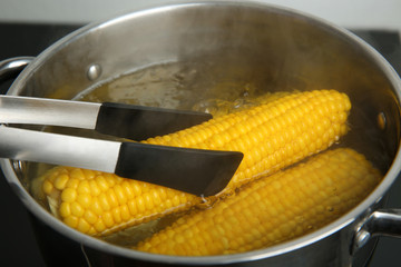 Taking fresh corn cob from pot with hot water on stove