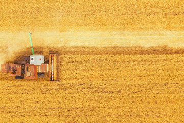 Fototapeta na wymiar Combine harvester harvests wheat in the field at sunset in autumn in Russia. view from a height of equipment and field.