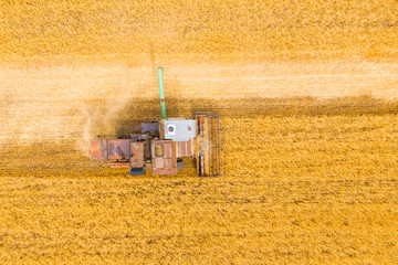 Fototapeta na wymiar Combine harvester harvests wheat in the field at sunset in autumn in Russia. view from a height of equipment and field.