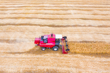 Fototapeta premium Combine harvester harvests wheat in the field at sunset in autumn in Russia. view from a height of equipment and field.