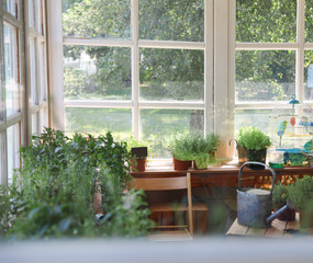 Shop with potted home plants and young woman, view through window