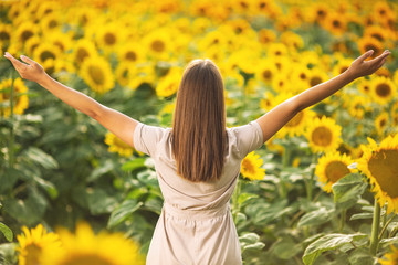 Naklejka na ściany i meble Young woman in sunflower field