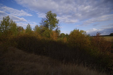 Obraz premium nature