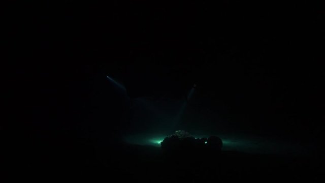 Footage night dive Red sea