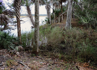 Bulow Plantation Ruins Historic State Park near Daytona - Monument listed on the National Register of Historic Sites: Bulow Ceek