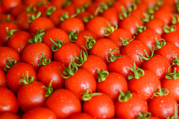 ripe juicy red cherry tomatoes with leaves