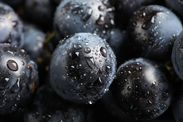 Fresh ripe juicy black grapes as background, closeup view