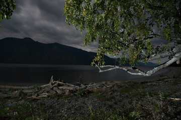 Full moon at the end of summer. Russia, South Of Western Siberia, Altai Mountains. Altai state natural biosphere reserve, Bele cordon in the South of lake Teletskoye. 
