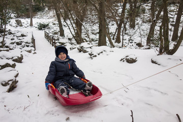 Fototapeta na wymiar Happy little boy on his sled in winter snow