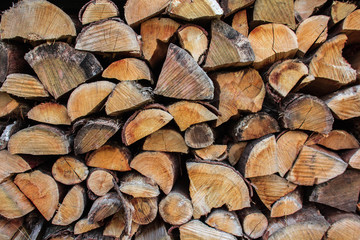 Fototapeta premium Firewood, wood stump backgound, close up of longs in a pile, trees background