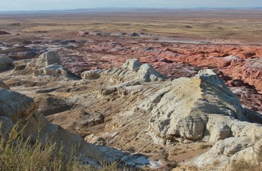 Rocks in the desert