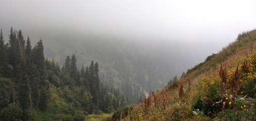 Vlouds in mountains