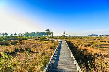 National Park Dwingelderveld in the Dutch province of Drenthe is a permanent nature reserve in original landscape with marsh and wooden walkways to protect vulnerable ground