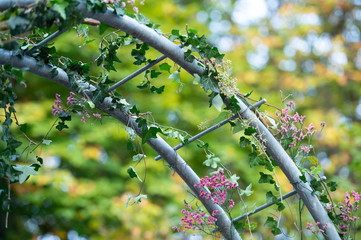 Ein für eine Hochzeit romantisch dekoriertes Tor