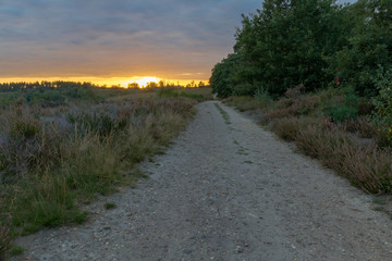 Sunset at the Mechelse Heide (English Mechelse meadow) with a view of a dirt road, popular area for outdoor activities and sports for a healthy lifestyle