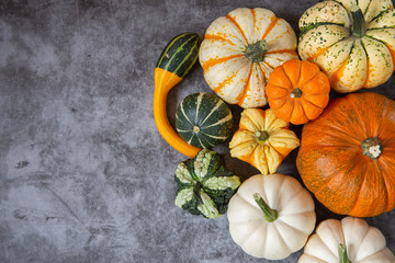 Autumn harvest. Decorative pumpkins of different varieties on a dark background.top view.