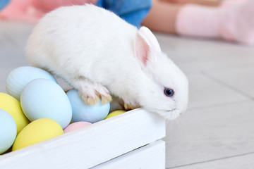 white bunny sitting on easter eggs