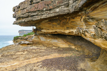 hikink in the royal national park, eaglehead rock, australia 16
