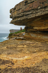 hikink in the royal national park, eaglehead rock, australia 25