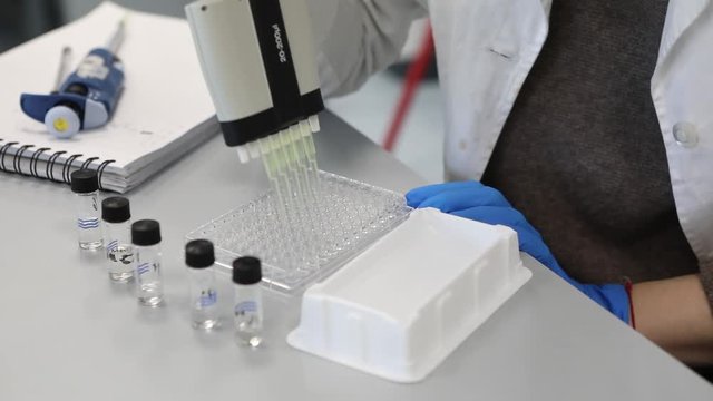 Lab experiment with 96 well micro plate