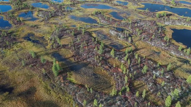 Top view of the Yamal tundra in Russia at full calm in autumn