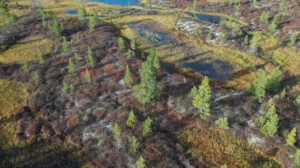 Top view of the Yamal tundra in Russia at full calm in autumn