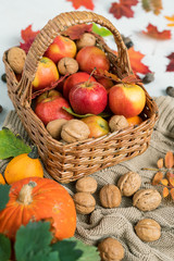 Basket with ripe apples, walnuts and red leaves standing on knitted sweater