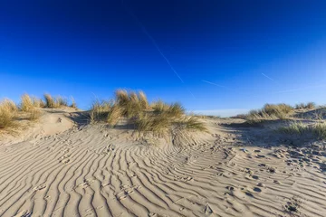 Foto auf Leinwand Sand dunes  at the end winter period with wind ridges in the sand and beach grass vegetation against clear blue sky © photodigitaal.nl