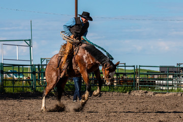 Rodeo Bronco Riding in Canada