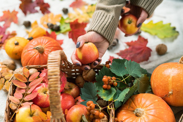 Young woman in sweater taking ripe apple from basket with pumpkins and berries